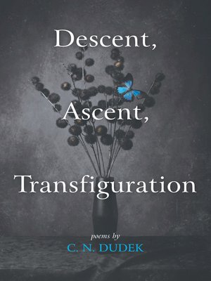 cover image of Descent, Ascent, Transfiguration